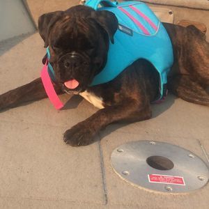 Meet your Posher, Maureen